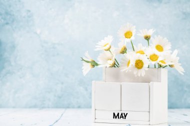Mayıs ayı için mavi arkaplan üzerinde papatya çiçekleri ile süslenmiş beyaz küp takvimi kopya alanı