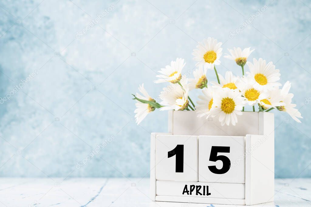 White cube calendar for april decorated with daisy flowers over blue background with copy space