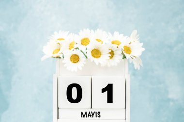 Mayıs ayı için Türkçe beyaz küp takvimi. Mavi arkaplanda papatya çiçekleri ve kopya alanı var.