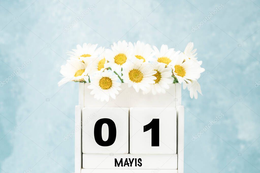 White cube calendar for May in Turkish with daisy flowers over blue background with copy space