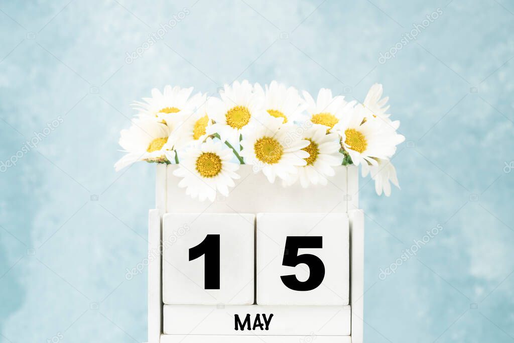 White cube calendar for May with daisy flowers over blue background with copy space