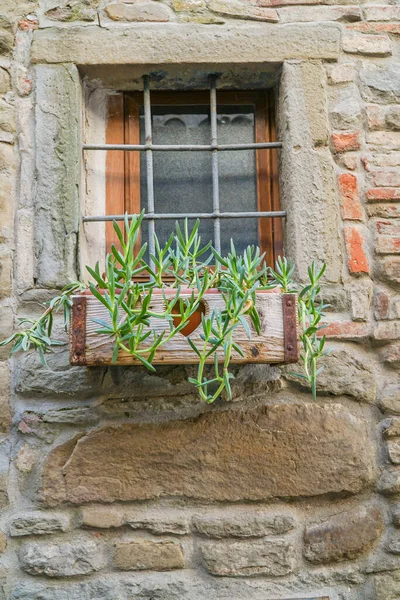 closeup succulent plant in the pot hanged on the window of a stone house