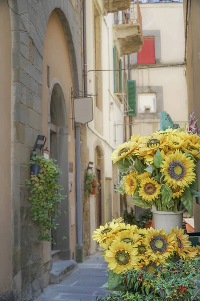 Girasoles Primer Plano Estrecha Calle Italia — Foto de Stock