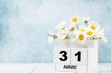 Ağustos ayı için beyaz küp takvimi mavi arkaplan üzerinde papatya çiçekleri ile fotokopi alanı ile süslenmiş