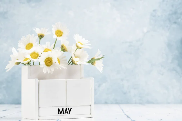 Λευκό Ημερολόγιο Κύβου Για Μάιο Διακοσμημένο Λουλούδια Μαργαρίτα Πάνω Από — Φωτογραφία Αρχείου