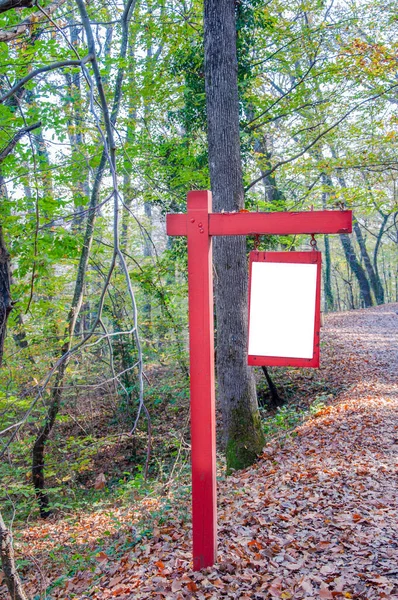 Prázdný Vývěsní Štít Stezky Lese Podzim — Stock fotografie