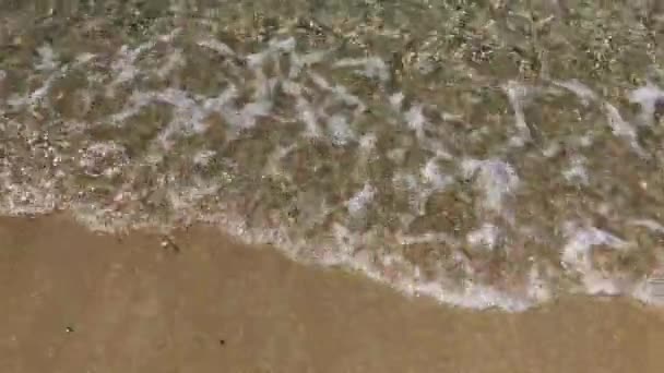 Sakin Temiz Bir Denizin Yumuşak Dalgaları Kumlu Bir Sahilde — Stok video