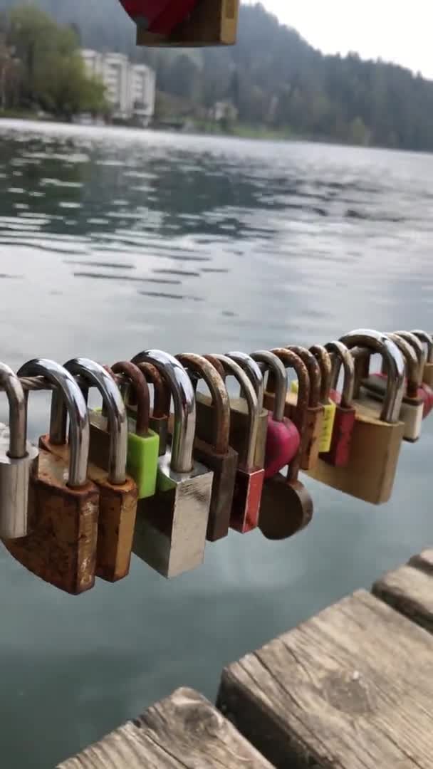 Bled Slovenia April 2019 Hanged Love Locks Fence Bled Lake — 비디오