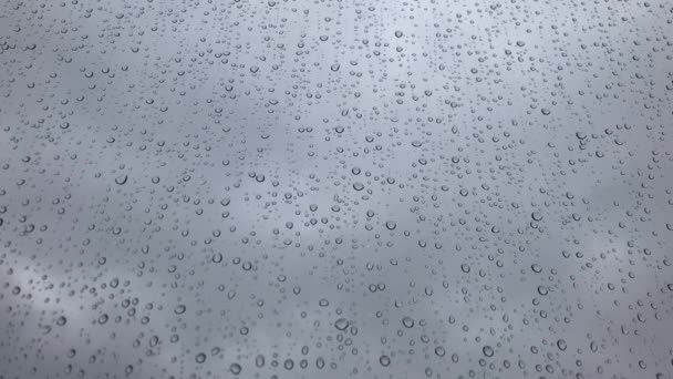 Háttér Esőcseppek Ablaktáblán — Stock videók