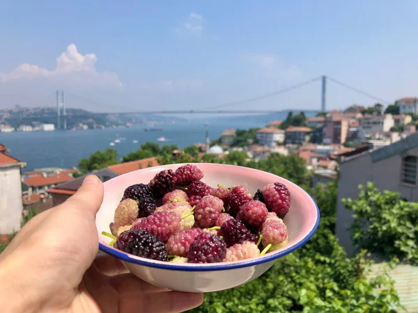 Tazón Mano Frutas Morera Contra Puente Bosforo Estambul Turquía Verano — Foto de Stock