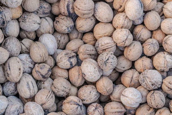 Closeup Whole Walnuts Background — Stock Photo, Image