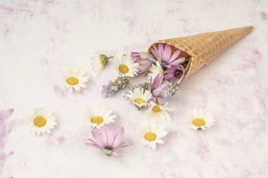 Fotokopi alanı olan pembe arka planda waffle dondurma külahında bahar çiçekleri. Düz yay konsepti