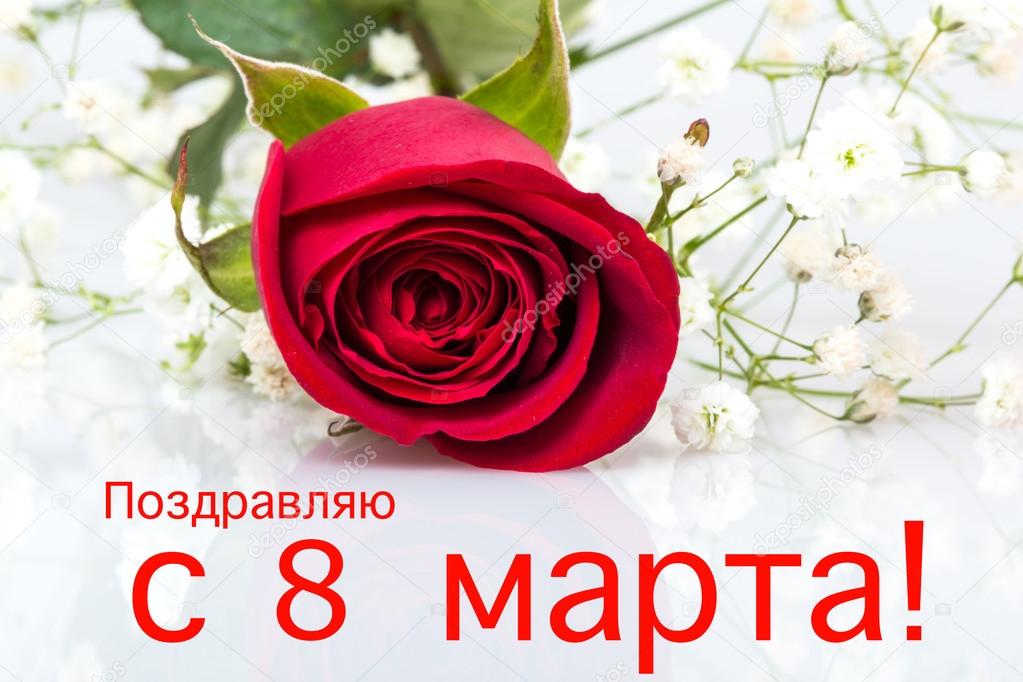 С 8 марта прикольные картинки поздравления любимой, милой картинки