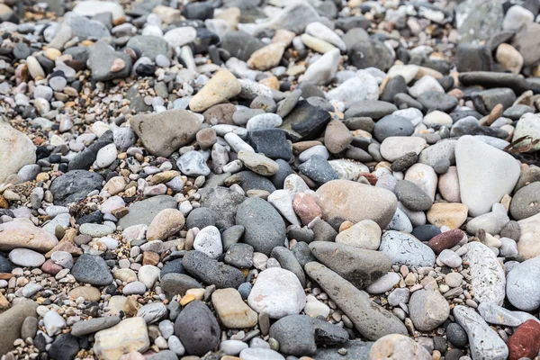 A pebbly beach — Stock Photo, Image