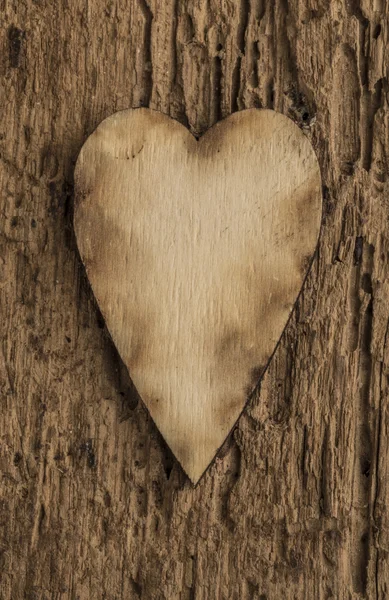 Modello con cuore in legno — Foto Stock