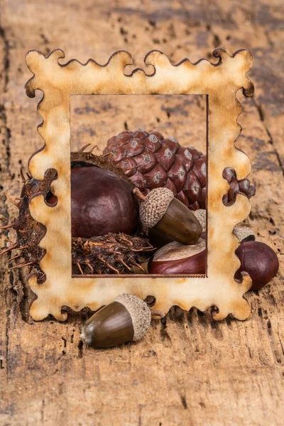 Herfst sjabloon met eikels en noten — Stockfoto