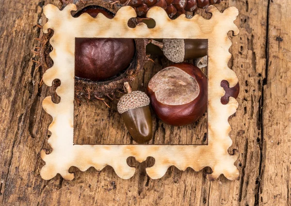 Autumn template with acorns and nuts — Stock Photo, Image