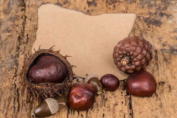 Őszi sablonok-aszalt gyümölcsökkel — Stock Fotó