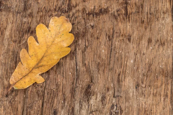 Podzimní listy na dřevěném pozadí — Stock fotografie