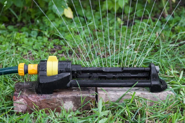 Sprinkler im Garten — Stockfoto