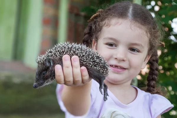 Mädchen hält Igel in der Hand — Stockfoto