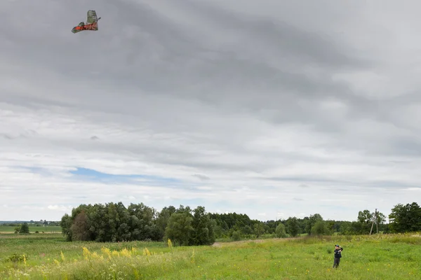 Garçon lance cerf-volant sur prairie — Photo