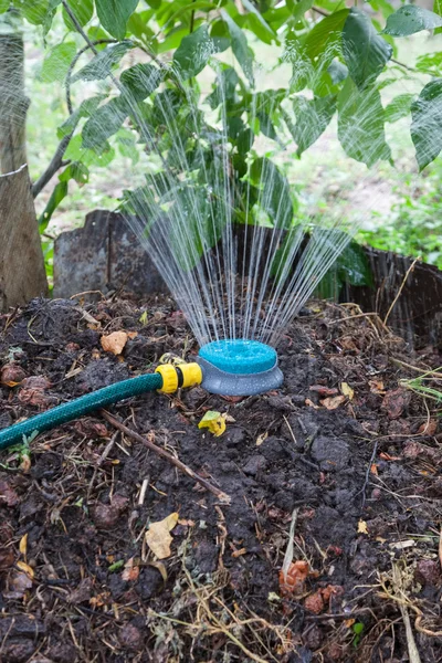 Bevochtiging compost stapel met behulp van de sprinkler — Stockfoto