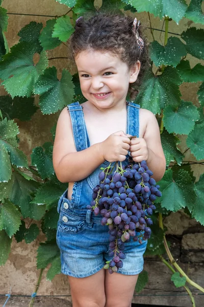 Menina segurando um monte de uvas — Fotografia de Stock