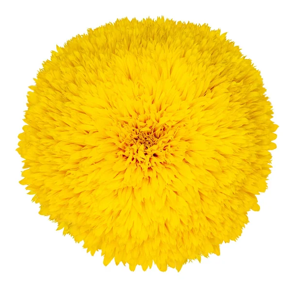 Flor Girasol Decorativo Osito Peluche Aislado Sobre Fondo Blanco Cerca — Foto de Stock