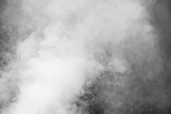 Photos Natural Smoke Monochrome Abstract Background — Stock Photo, Image