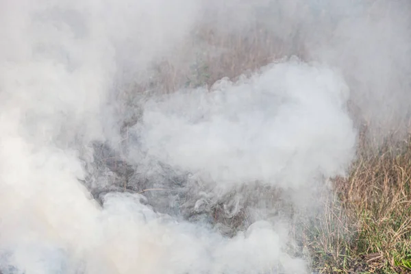 Fogo Prado Fumaça Grossa Agricultores Queimando Grama Seca Contribui Para — Fotografia de Stock