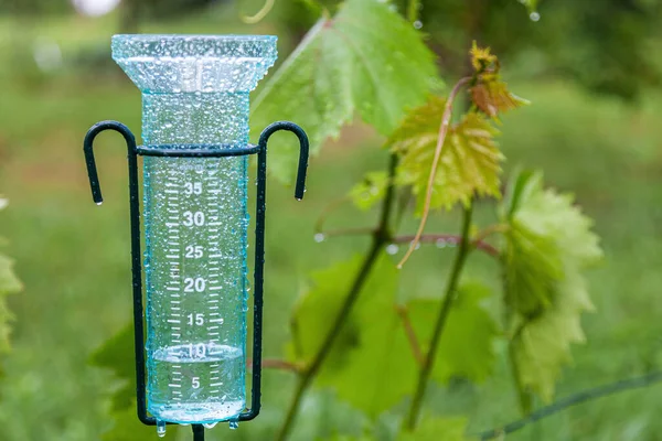 Meteorology with rain gauge in garden after the rain against the background of the vineyard