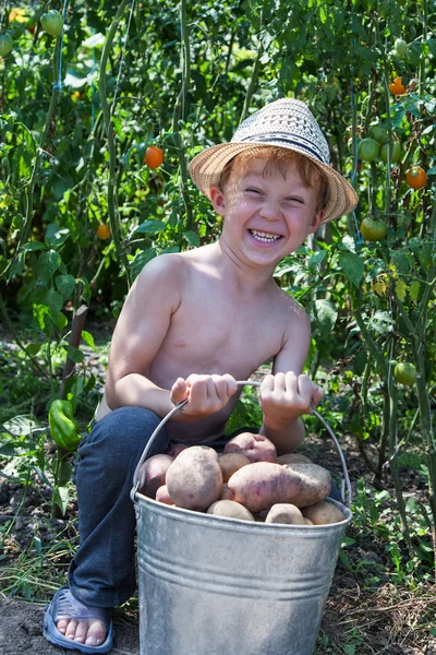 Garçon tenant seau de pommes de terre — Photo