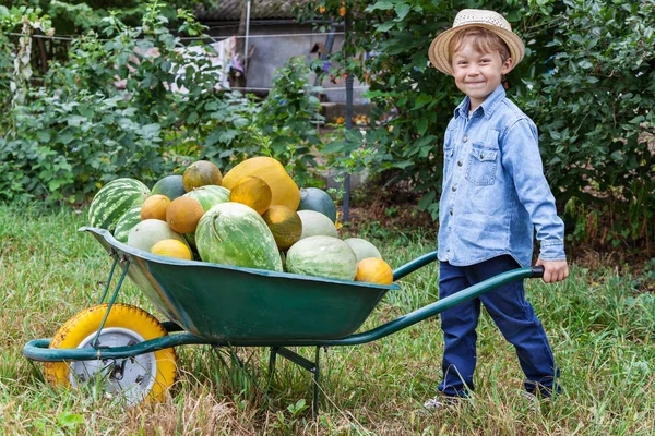 Jongen met kruiwagen in tuin — Stockfoto