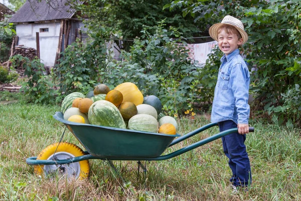 Ragazzo con carriola in giardino — Foto Stock