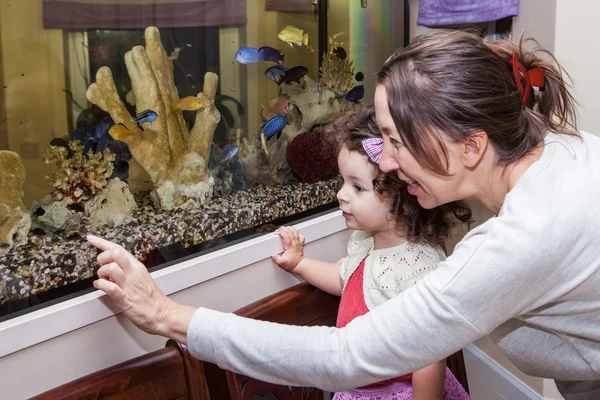 Büyükanne ve torunu aquarium yakınındaki