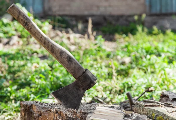 Bijl vast te zitten in boom — Stockfoto