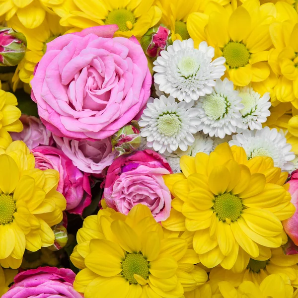 Bright flowers background — Stock Photo, Image