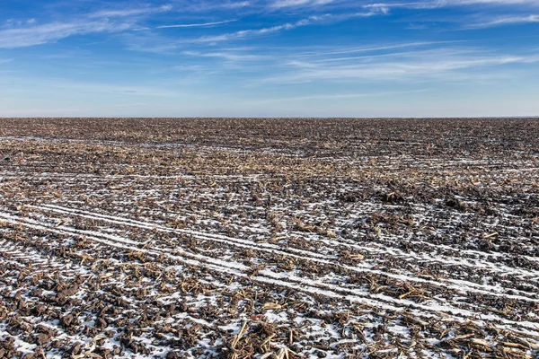 Landwirtschaftliches Feld mit Schnee bedeckt — Stockfoto