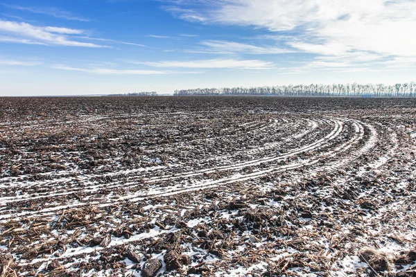 Tarım alanı karla kaplı. — Stok fotoğraf