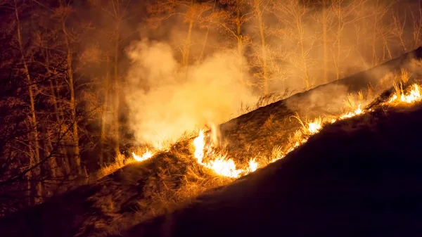 Bushfire en la noche —  Fotos de Stock