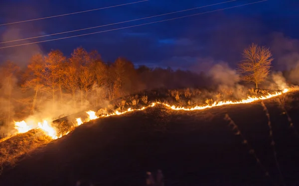 Bushfire en la noche —  Fotos de Stock