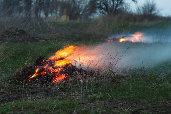 Ognisko w silny wiatr — Zdjęcie stockowe