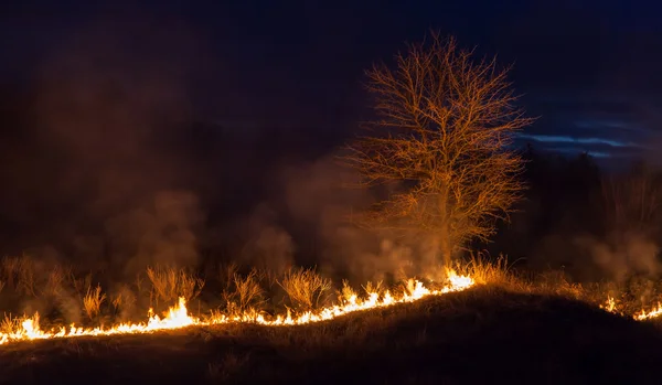 Bushfire en la noche — Foto de Stock