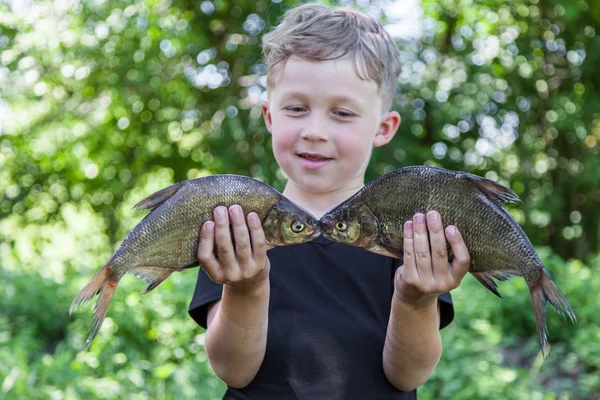 Niño sostiene dos besugo de pescado —  Fotos de Stock