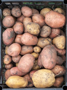 Çekmecede patates var