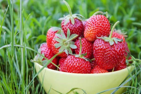 Skål med jordgubbar på gräs — Stockfoto