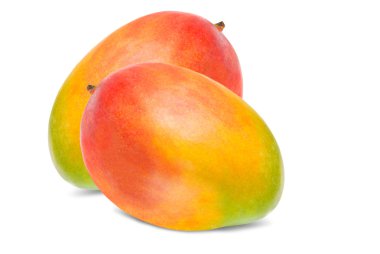 Mango beyaz üzerine izole