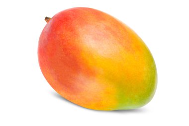 Mango beyaz üzerine izole