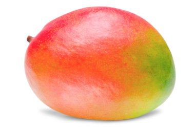 Mango beyaz üzerine izole